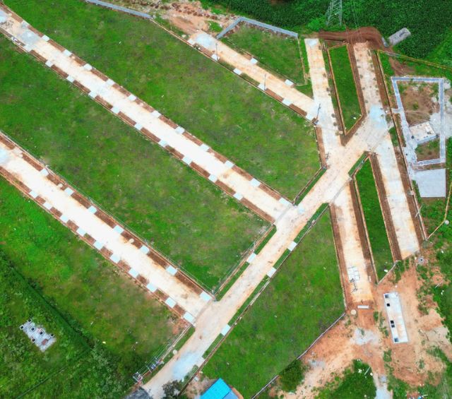 untitled design 2.jpg